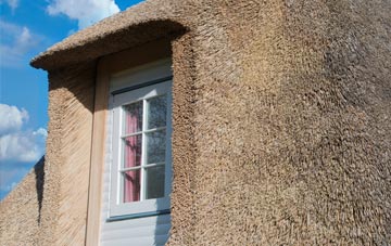 Mose thatch roof disadvantages